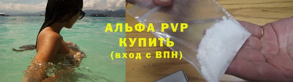 молекула духа Арсеньев