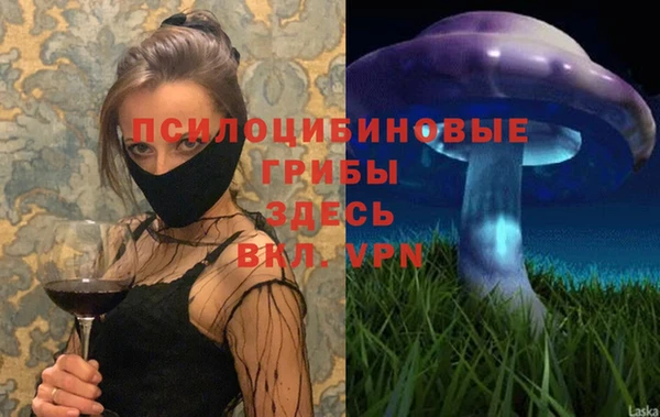 MDMA Алексеевка