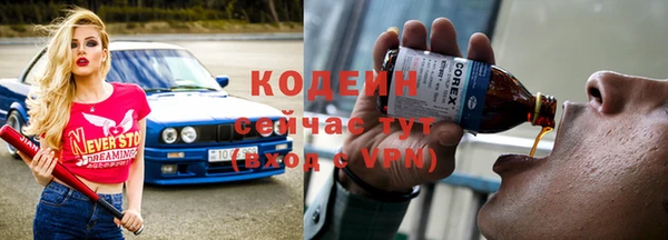 молекула духа Арсеньев